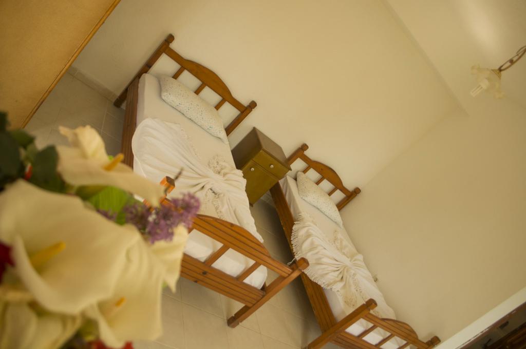 Alfa Apartments Bodrum Bagian luar foto