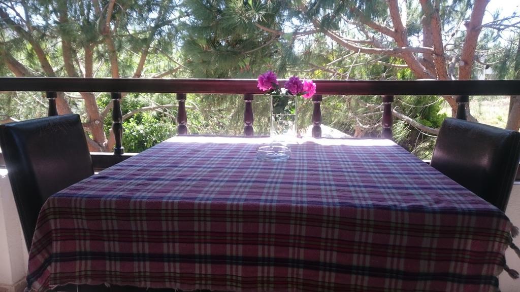Alfa Apartments Bodrum Bagian luar foto
