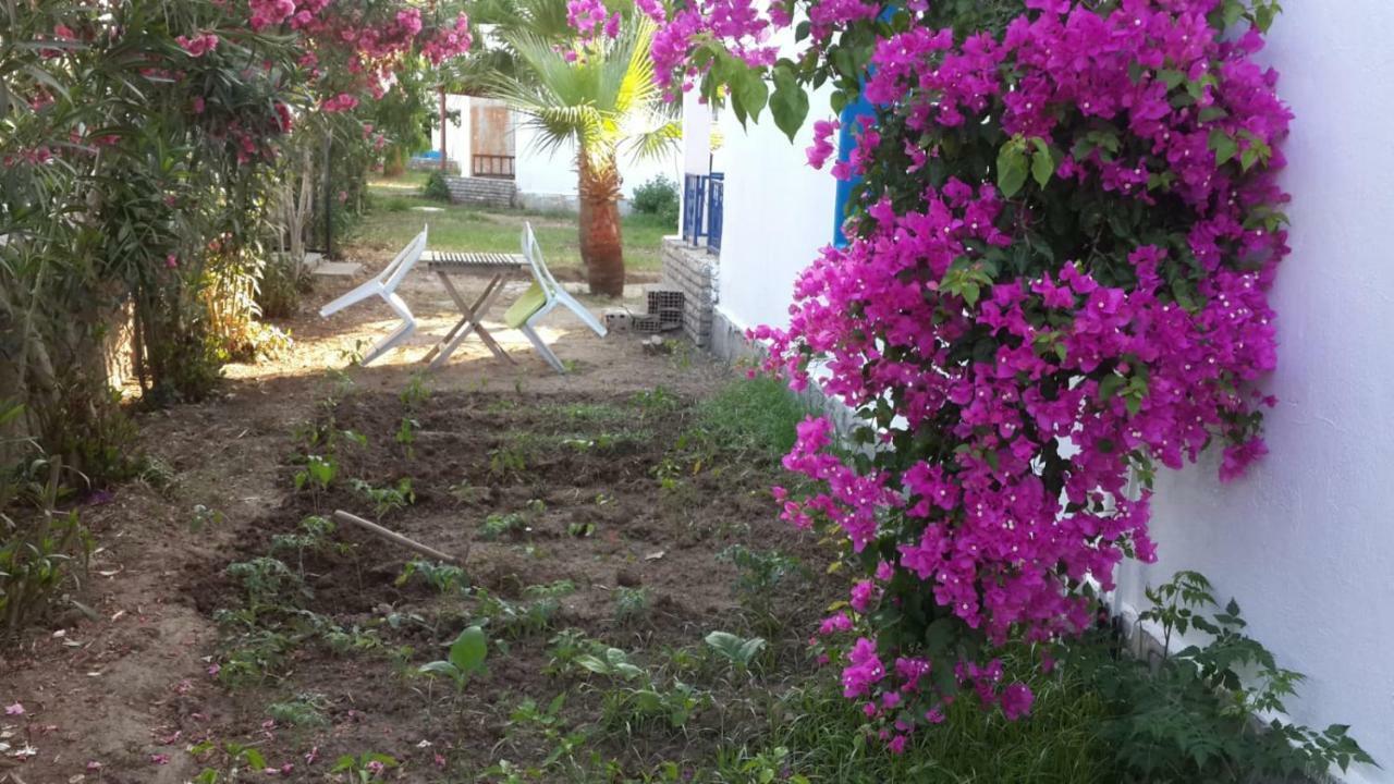 Alfa Apartments Bodrum Bagian luar foto