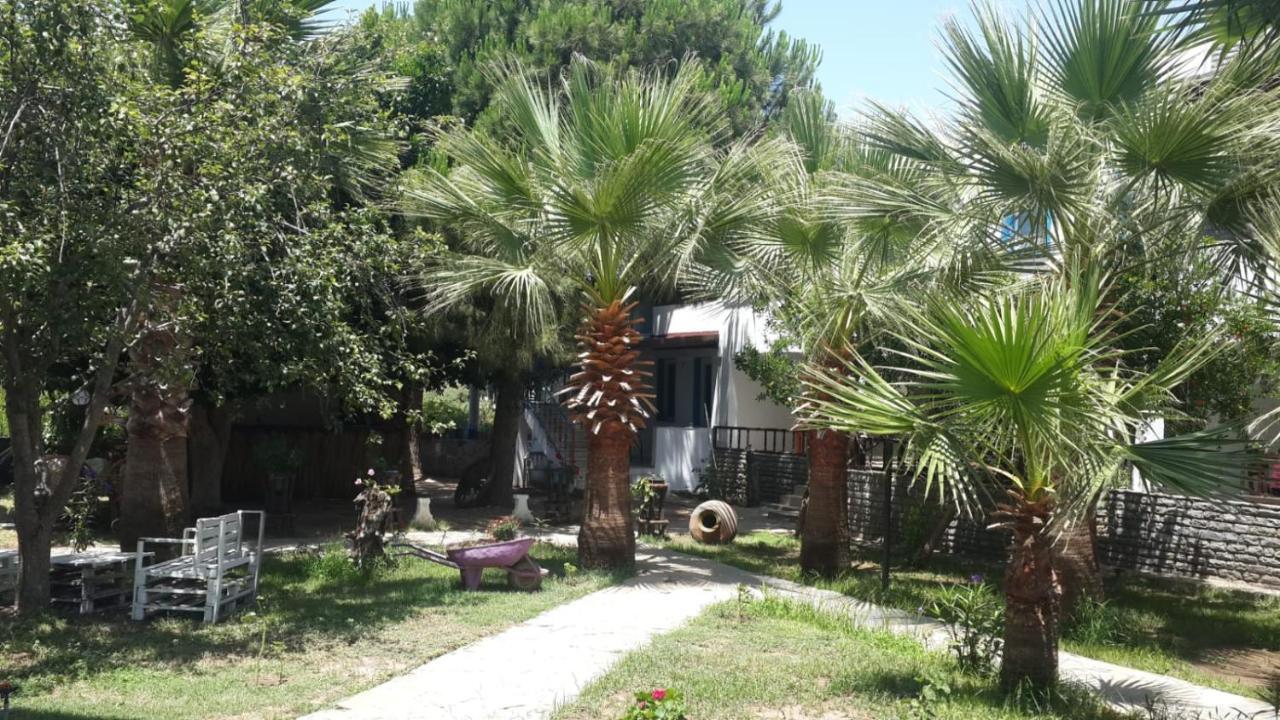 Alfa Apartments Bodrum Bagian luar foto