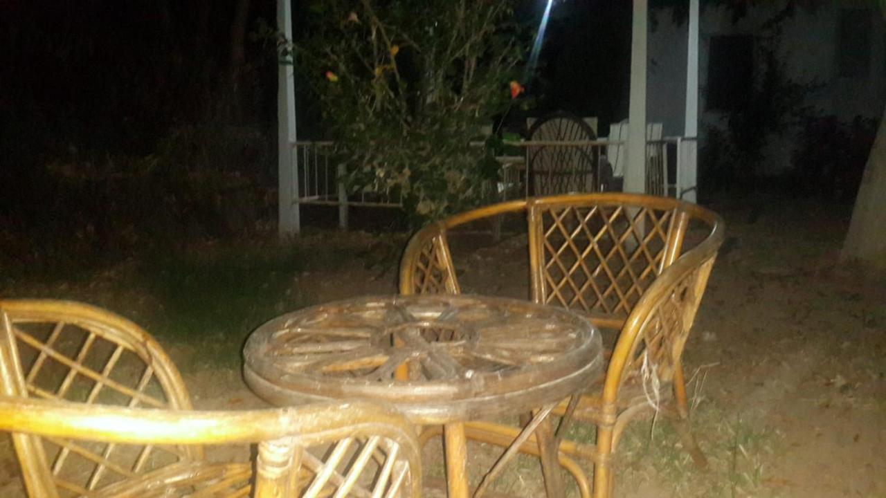 Alfa Apartments Bodrum Bagian luar foto