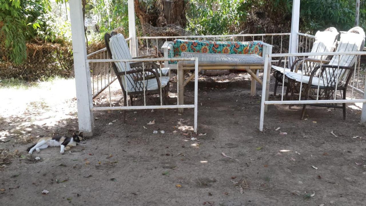 Alfa Apartments Bodrum Bagian luar foto