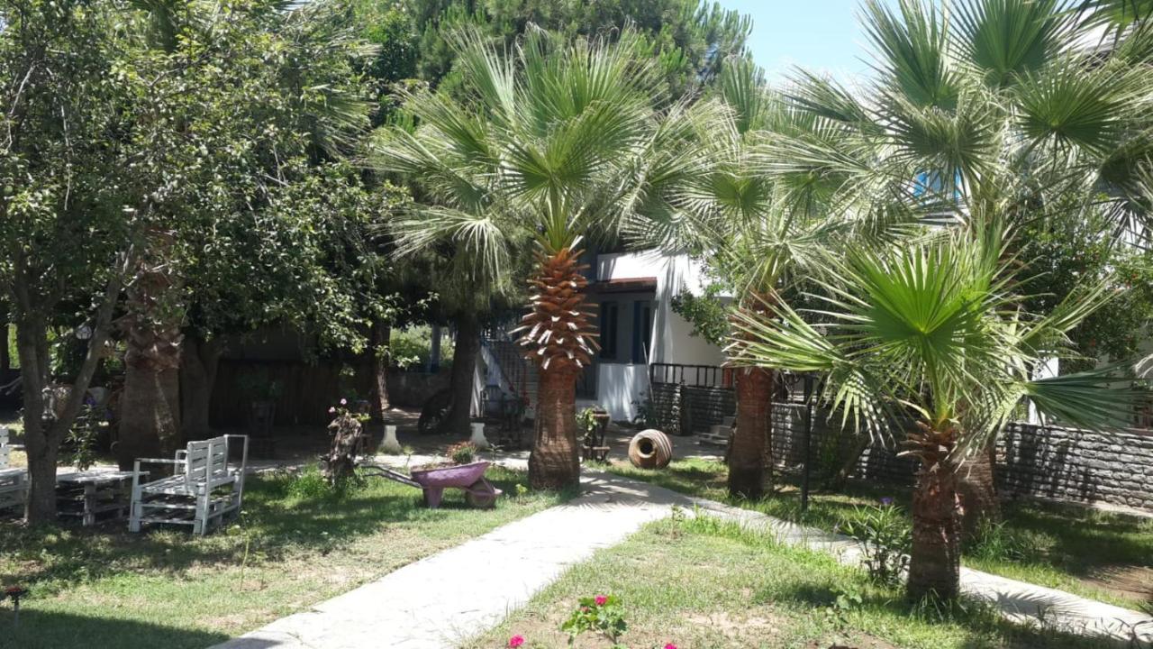 Alfa Apartments Bodrum Bagian luar foto